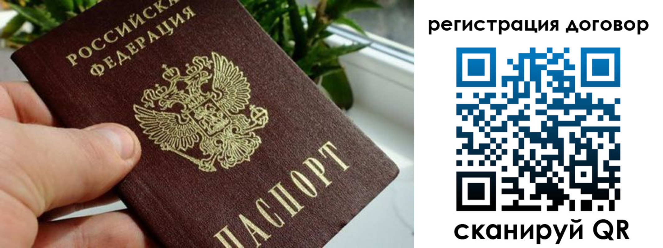 прописка ребенка в Сольцах